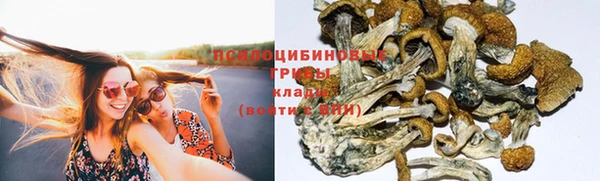 бутират Елабуга