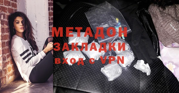 индика Елизово