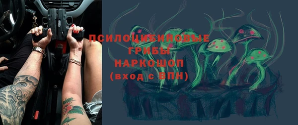 индика Елизово