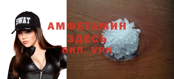 индика Елизово