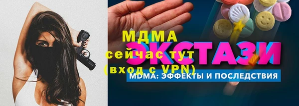 индика Елизово