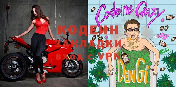 индика Елизово