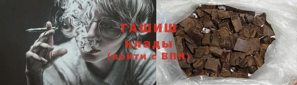 индика Елизово