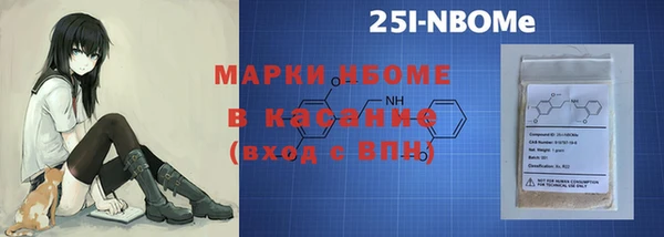 индика Елизово
