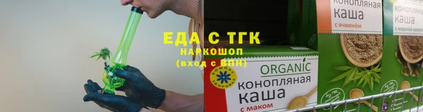 индика Елизово