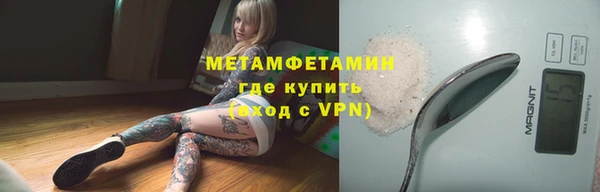 индика Елизово