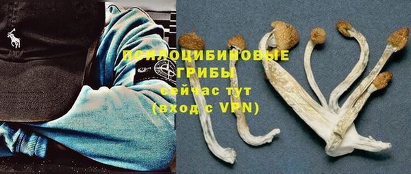индика Елизово