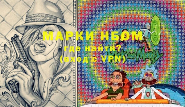 индика Елизово