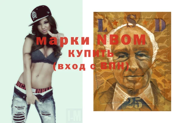 индика Елизово