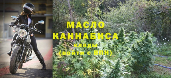 индика Елизово