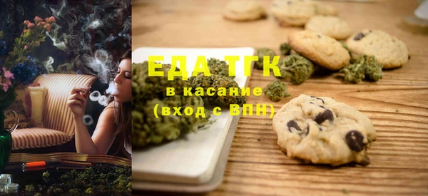 индика Елизово