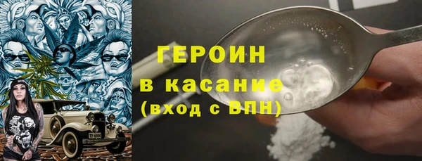 индика Елизово