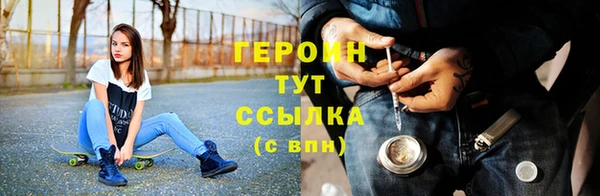 индика Елизово