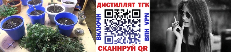 ТГК THC oil  Купить закладки  Ефремов 
