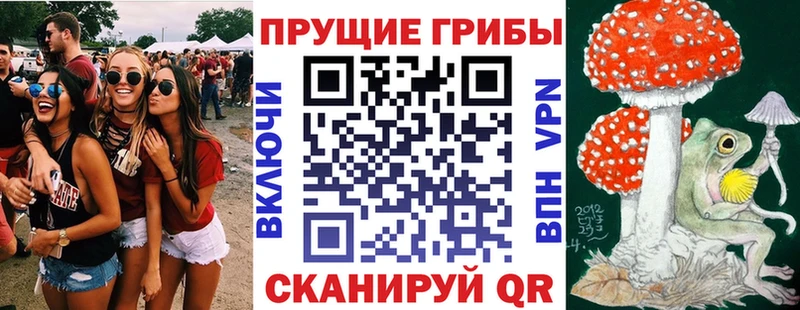 Галлюциногенные грибы GOLDEN TEACHER  Купить  Ефремов 